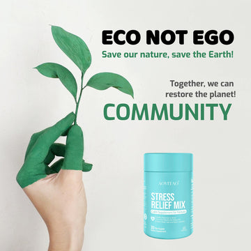 Ashwagandha For Women | REBALANCE Ritual Daily Calm, Focus & Feminine Harmony